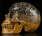 Preview: Leopardenhaut Jaspis Skull